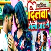 About Dilwa Gelau Jar Ge Song